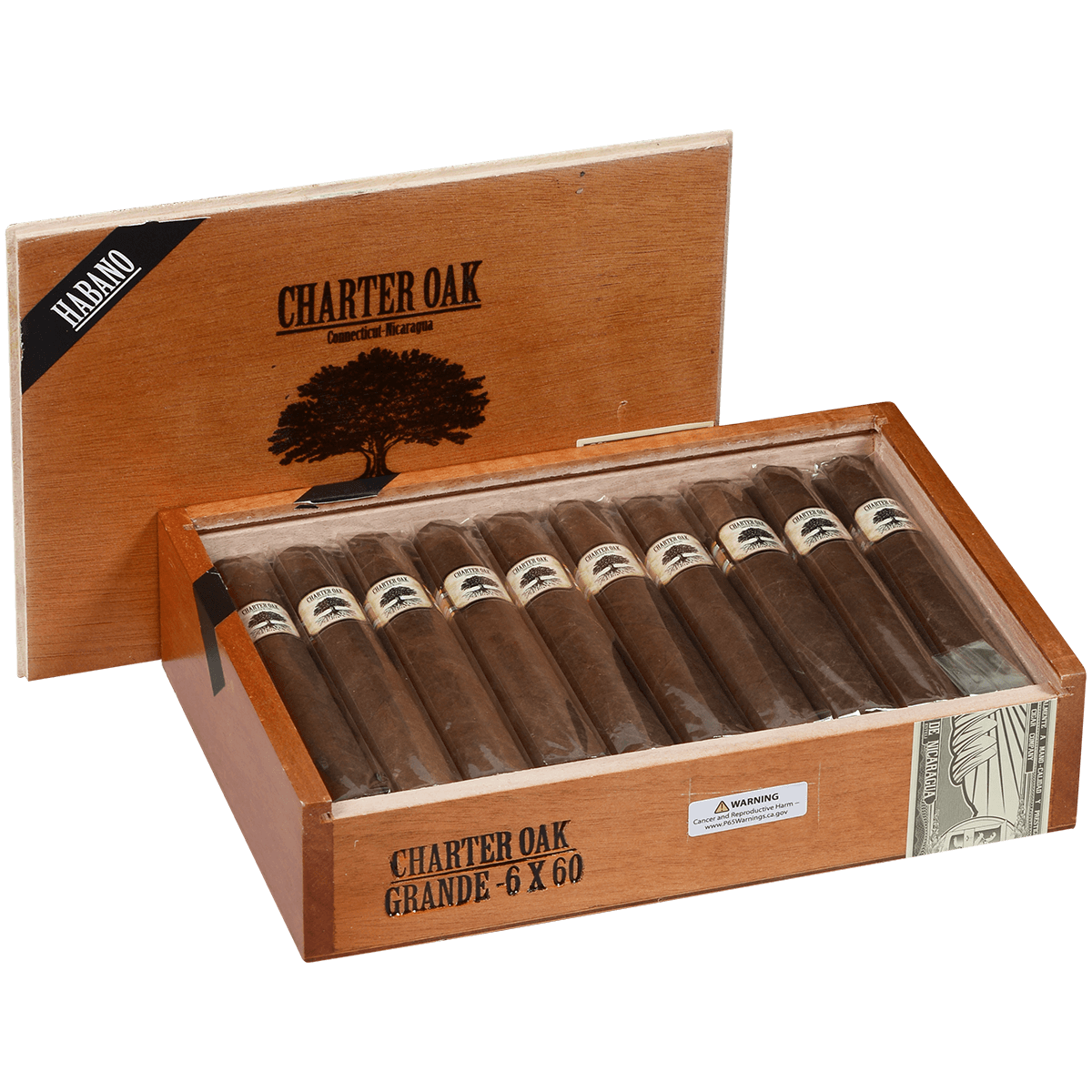 Foundation Charter Oak Habano Grande 20 Ct Box 6.00X60