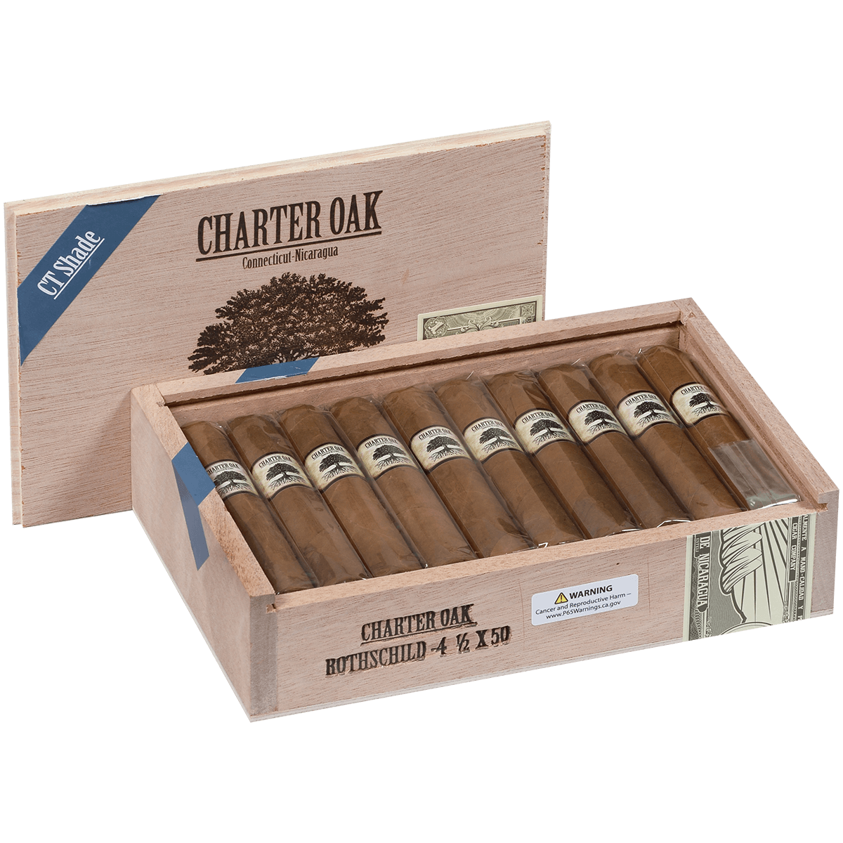 Foundation Charter Oak Connecticut Shade Rothschild 20 Ct Box 4.50X50