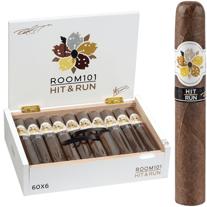 Room 101 Hit And Run Gordo 20 Ct. Box 6.00X60
