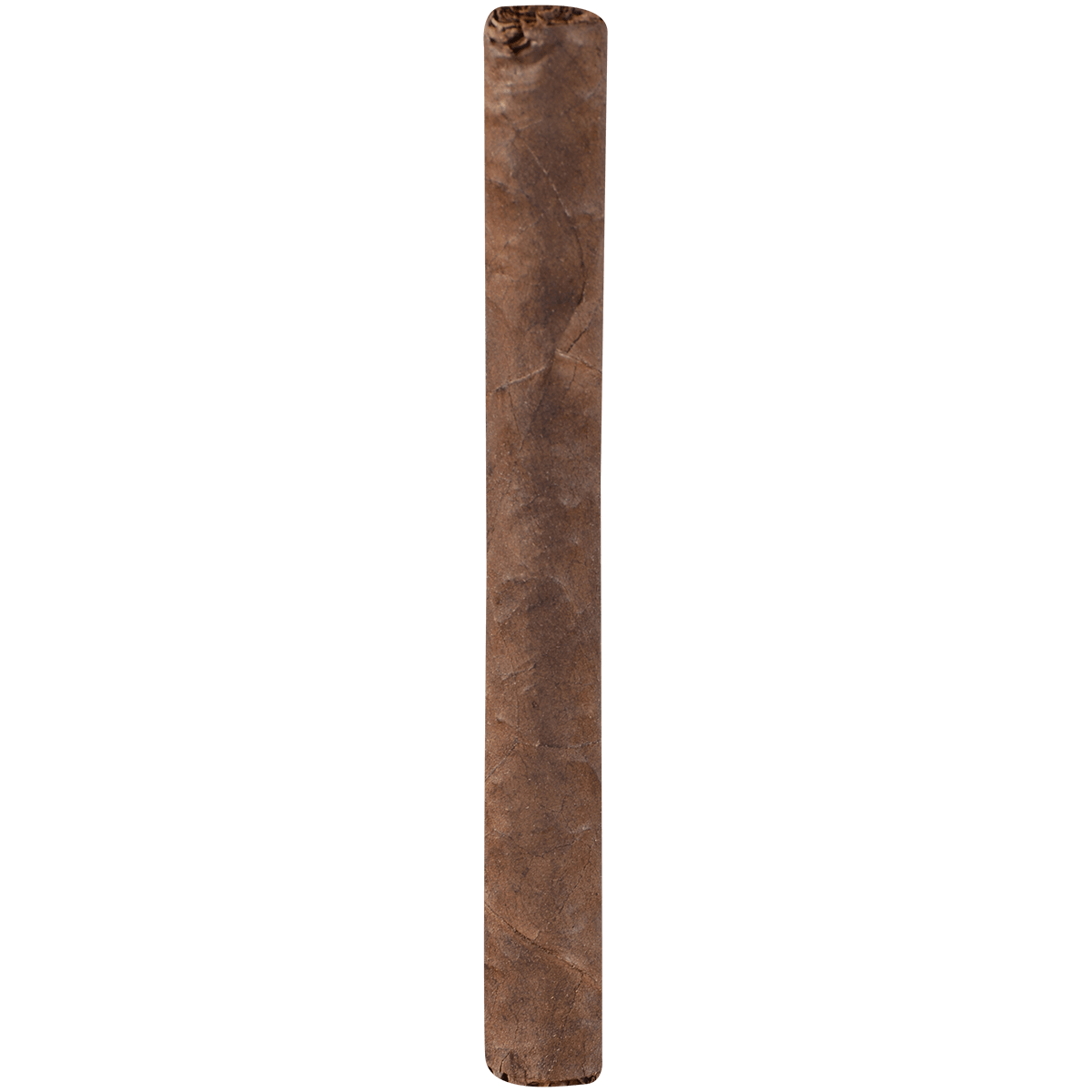 Ugly Coyote Berry 5/8 Packs 4.25X32