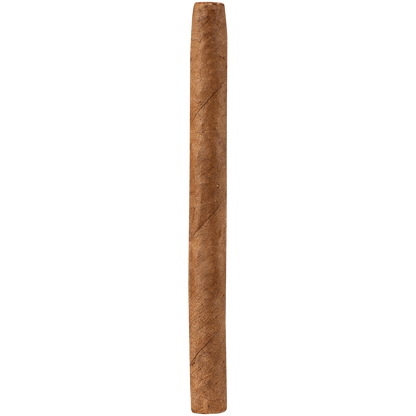 Hoyo Excalibur Cigarillo 10/20 Tins 4.00X24