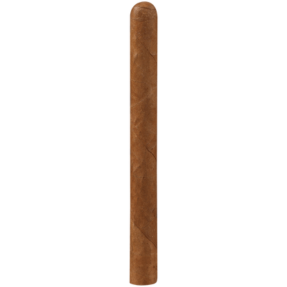 Punch Slim Panatella 10/10 Tins 4.00X28