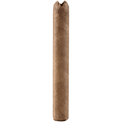 Villiger Premium No. 7 Sumatra 5/5 Packs 4.00X38