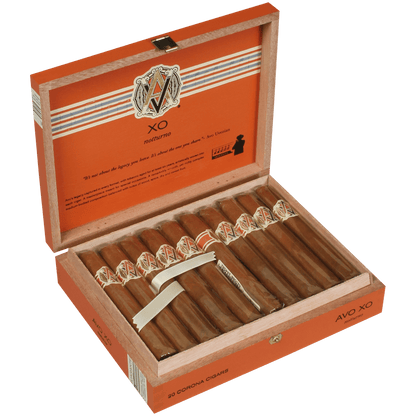 Avo Xo Notturno Corona 20 Ct. Box 5.00X42