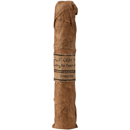 Leaf By Oscar Sumatra Sixty 20 Ct Bundle 6.00X60