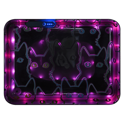 Greenhouse Light Up Tray Cats 8.27"X 11.02" X 1.26"