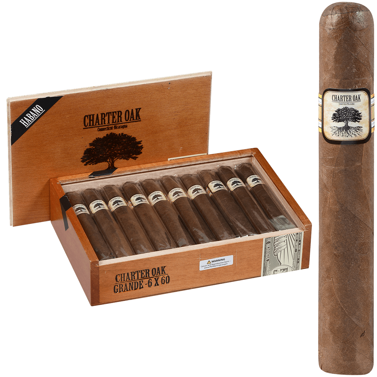 Foundation Charter Oak Habano Grande 20 Ct Box 6.00X60