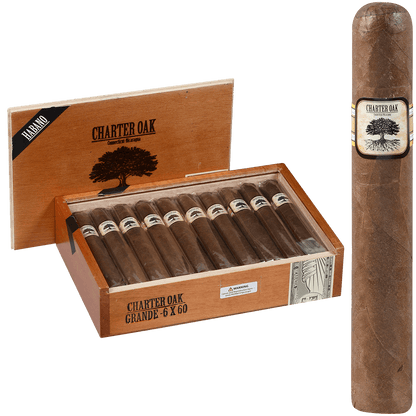 Foundation Charter Oak Habano Grande 20 Ct Box 6.00X60