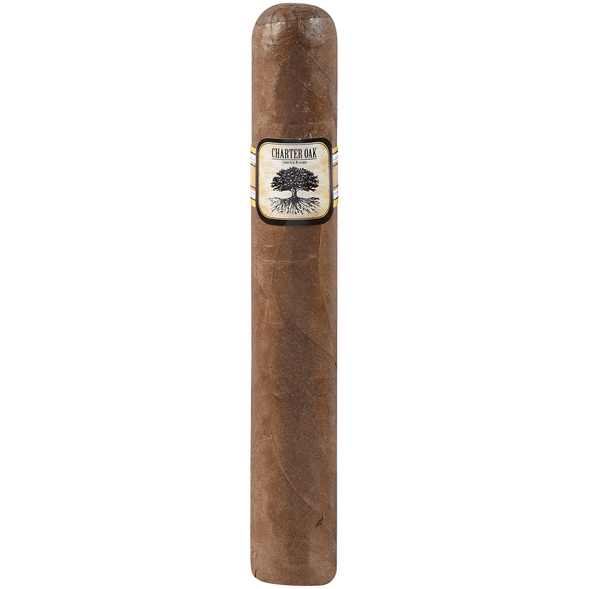 Foundation Charter Oak Habano Grande 20 Ct Box 6.00X60