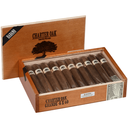 Foundation Charter Oak Habano Grande 20 Ct Box 6.00X60