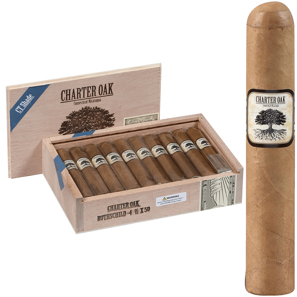 Foundation Charter Oak Connecticut Shade Rothschild 20 Ct Box 4.50X50