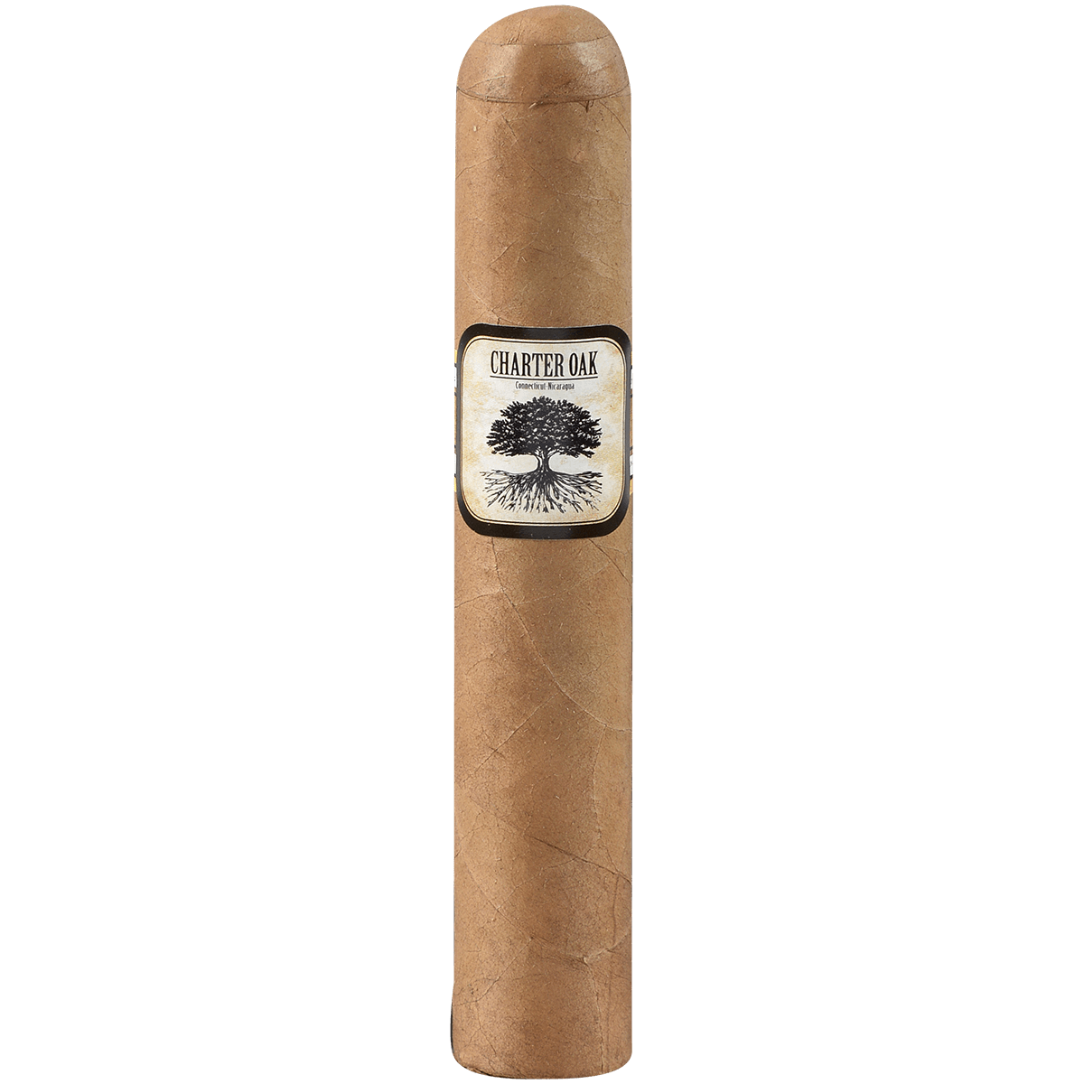 Foundation Charter Oak Connecticut Shade Rothschild 20 Ct Box 4.50X50