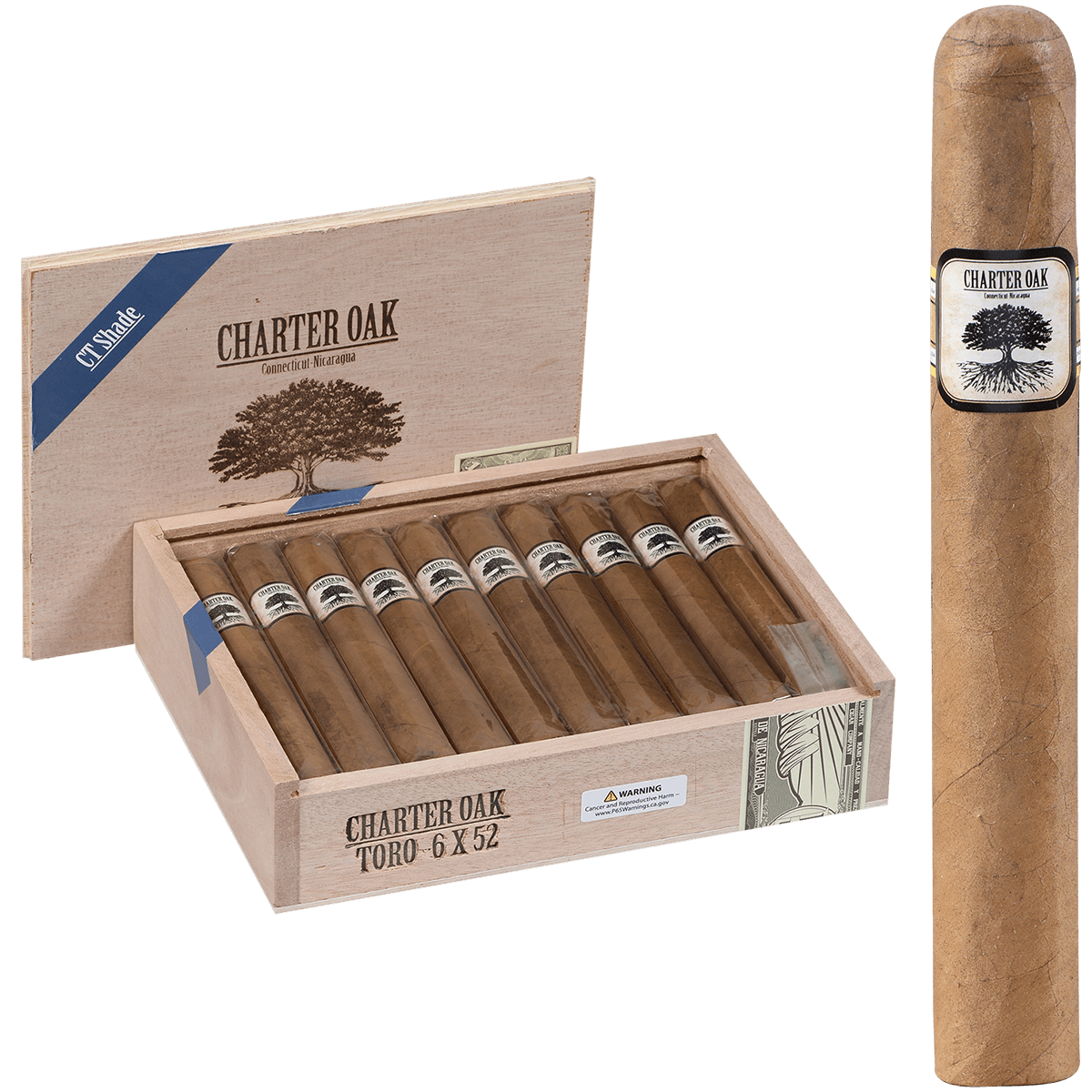 Foundation Charter Oak Connecticut Shade Toro 20 Ct Box 6.00X52
