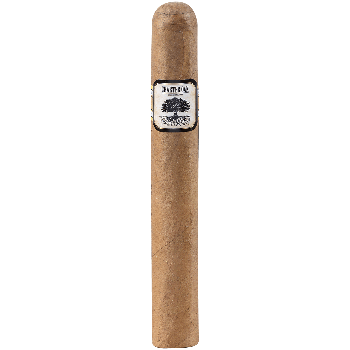 Foundation Charter Oak Connecticut Shade Toro 20 Ct Box 6.00X52