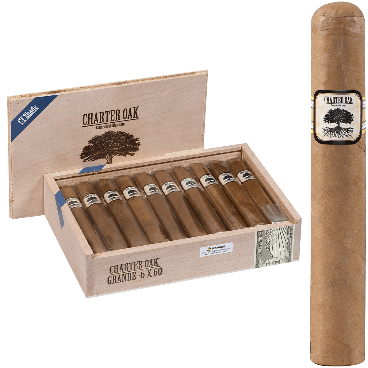 Foundation Charter Oak Connecticut Shade Grande 20 Ct Box 6.00X60