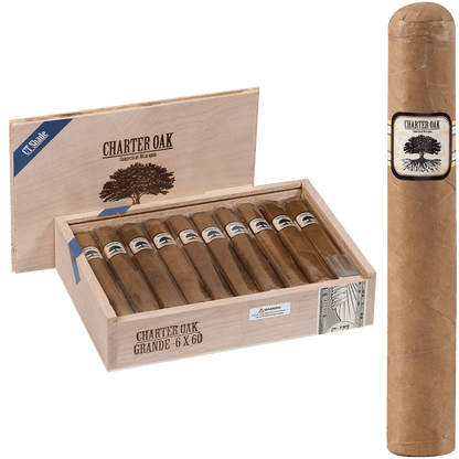 Foundation Charter Oak Connecticut Shade Grande 20 Ct Box 6.00X60