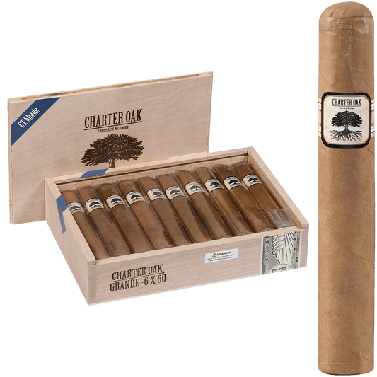 Foundation Charter Oak Connecticut Shade Grande 20 Ct Box 6.00X60