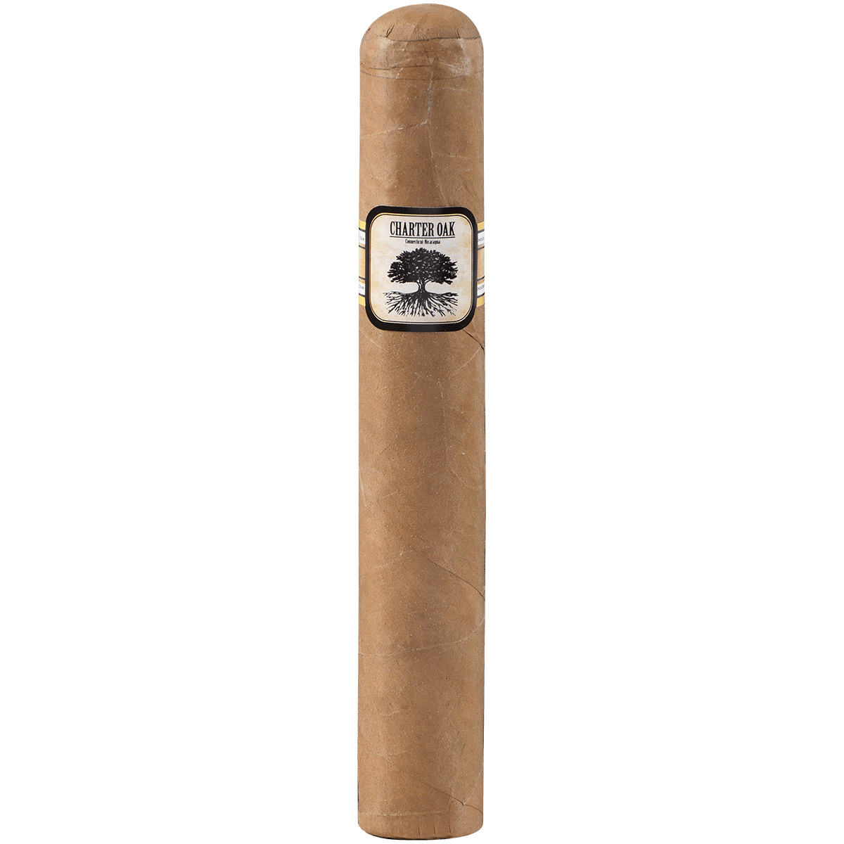 Foundation Charter Oak Connecticut Shade Grande 20 Ct Box 6.00X60