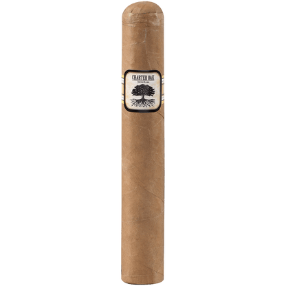 Foundation Charter Oak Connecticut Shade Grande 20 Ct Box 6.00X60