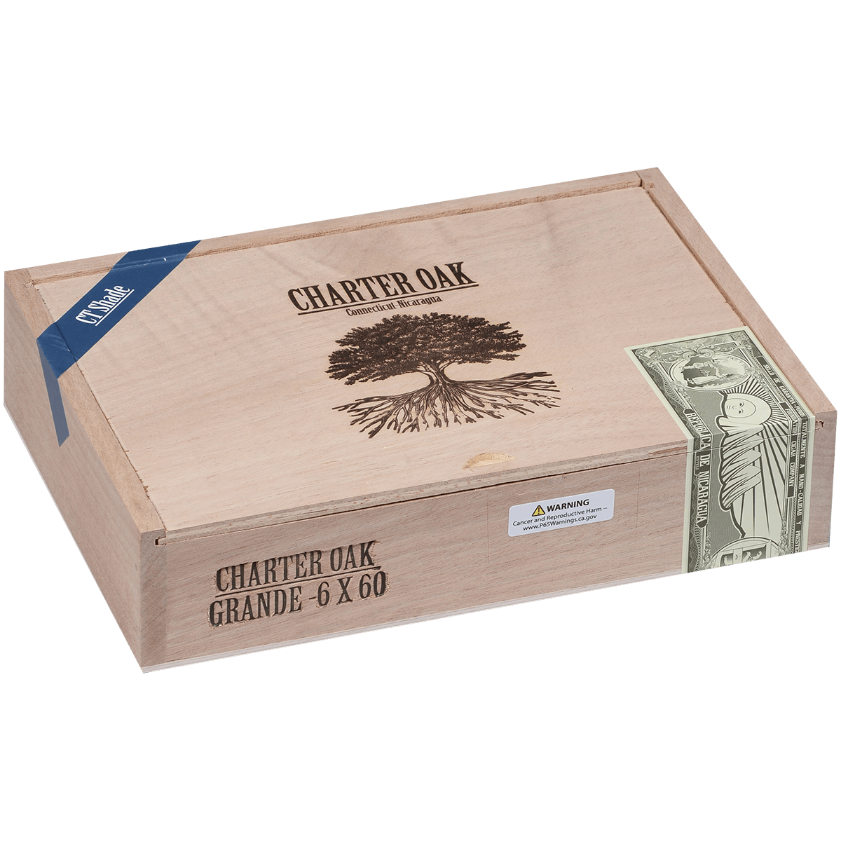 Foundation Charter Oak Connecticut Shade Grande 20 Ct Box 6.00X60