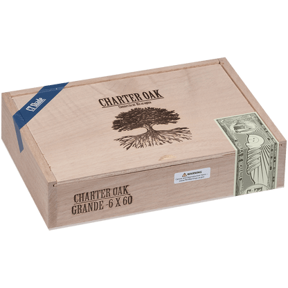 Foundation Charter Oak Connecticut Shade Grande 20 Ct Box 6.00X60