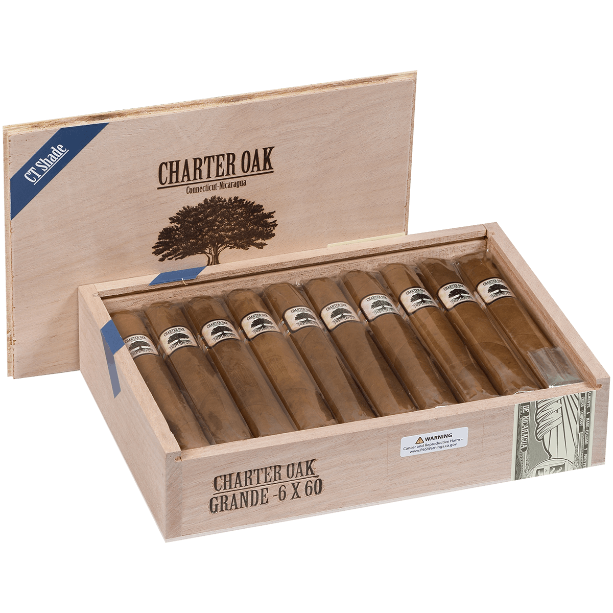Foundation Charter Oak Connecticut Shade Grande 20 Ct Box 6.00X60