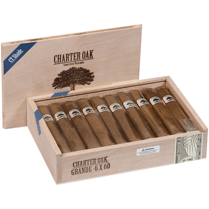 Foundation Charter Oak Connecticut Shade Grande 20 Ct Box 6.00X60