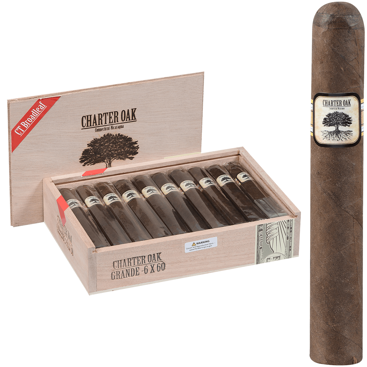 Foundation Charter Oak Connecticut Bl Maduro Grande 20 Ct Box 6.00X60