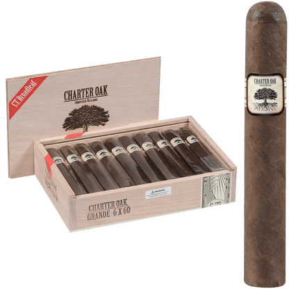 Foundation Charter Oak Connecticut Bl Maduro Grande 20 Ct Box 6.00X60