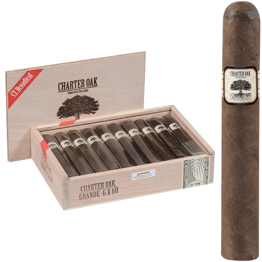 Foundation Charter Oak Connecticut Bl Maduro Grande 20 Ct Box 6.00X60