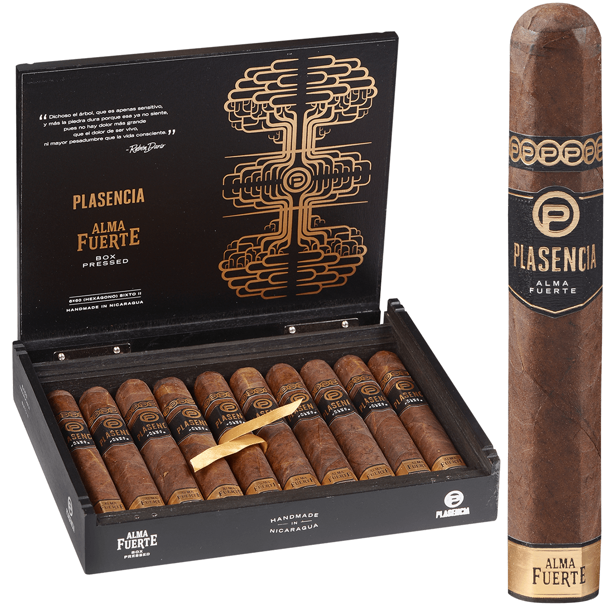 Plasencia Alma Fuerte Sixto Ii 10 Ct. Box 6.00X60