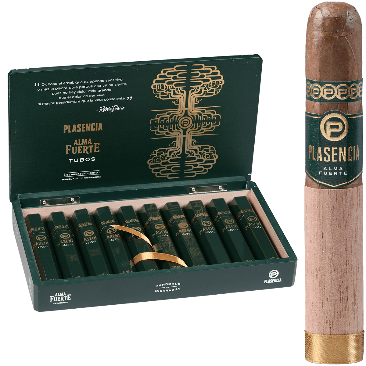 Plasencia Alma Fuerte Sixto I Hexagon Tubo 10 Ct. Box 6.00X60