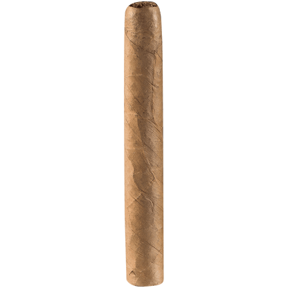 Ashton Classic Half Corona Connecticut 10/5 Packs 4.12X37
