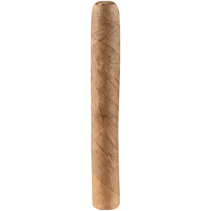 Ashton Classic Half Corona Connecticut 50 Ct. Box 4.12X37