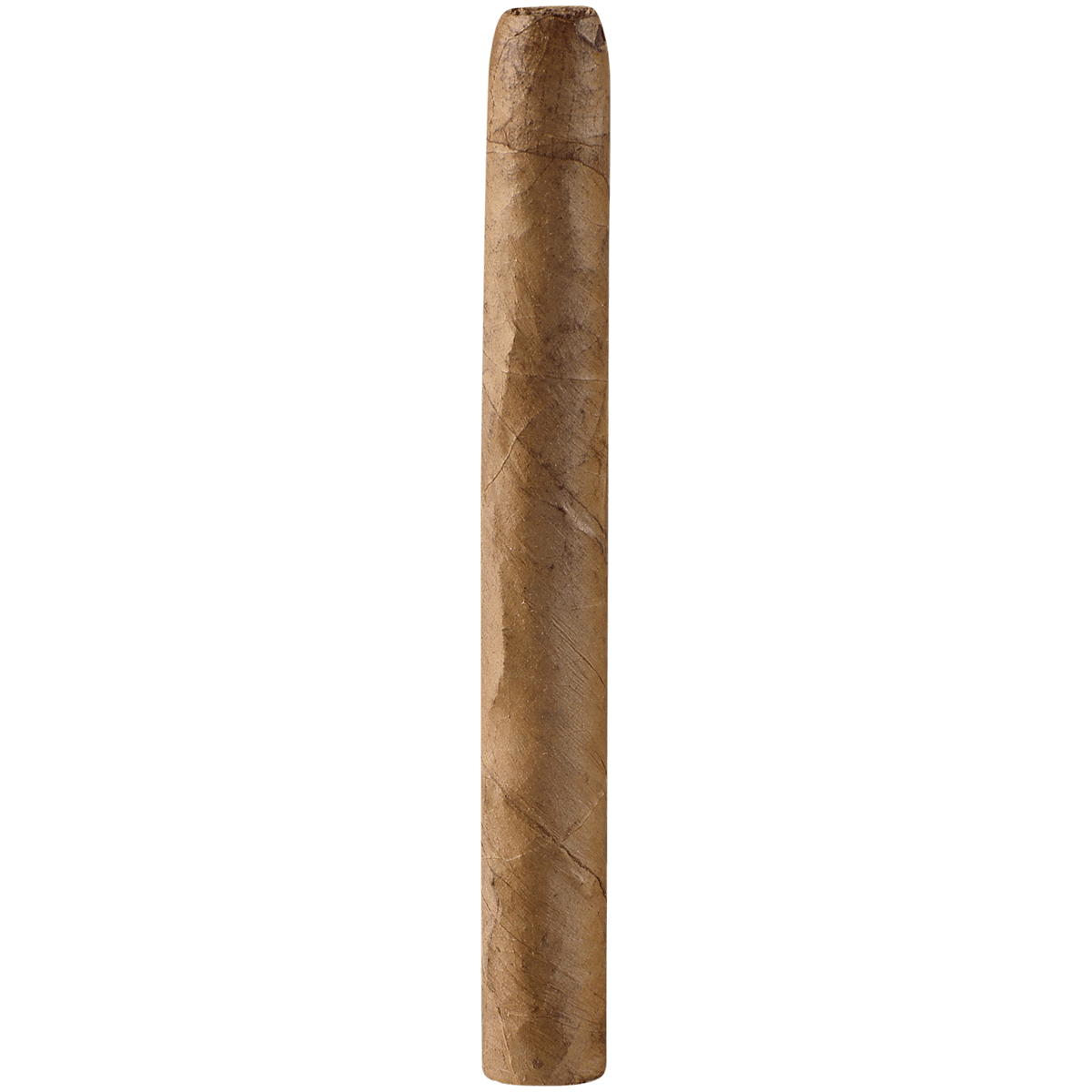 Ashton Senoritas Connecticut 50 Ct. Box 3.75X30