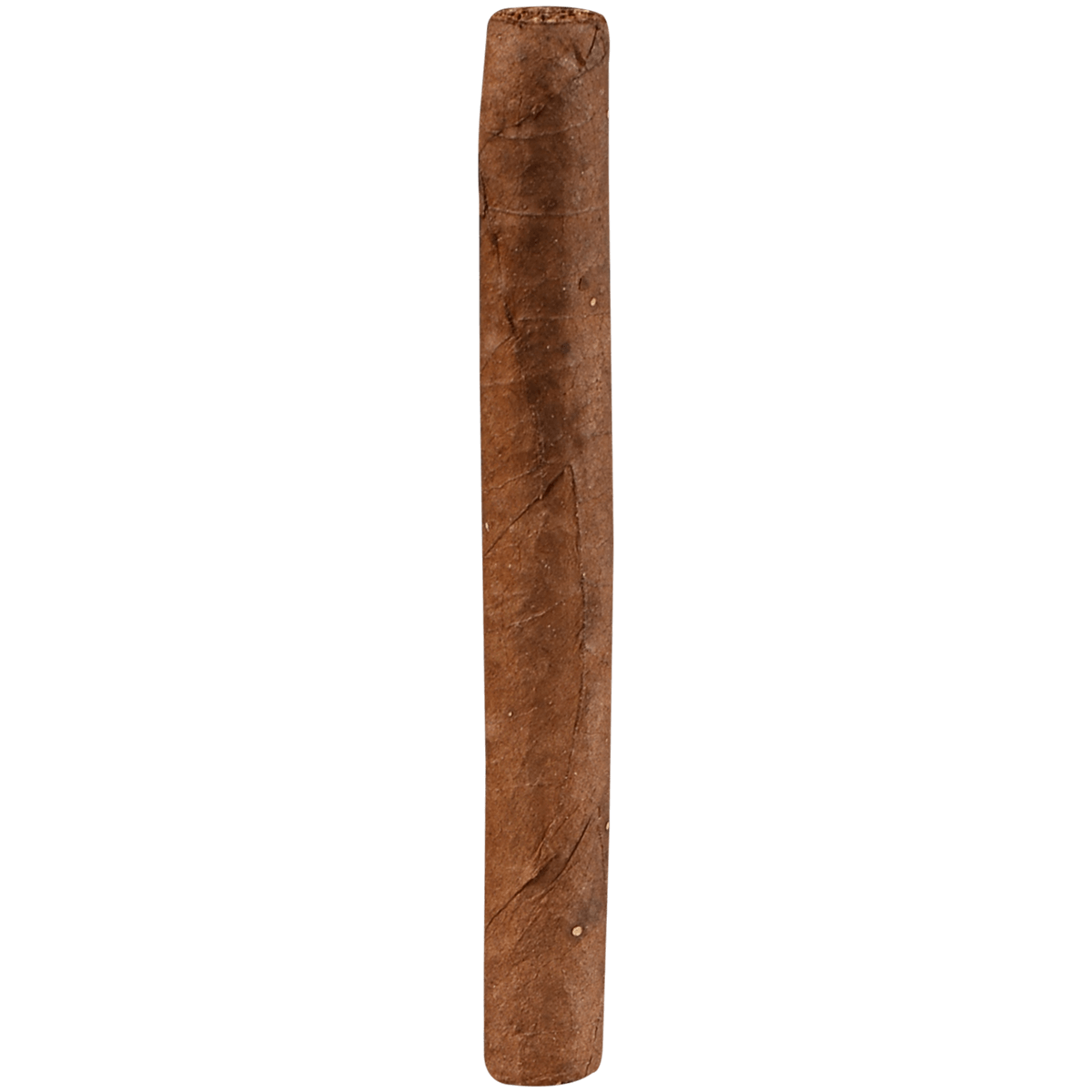 Ashton Senoritas Cameroon 10/10 Packs 3.75X30