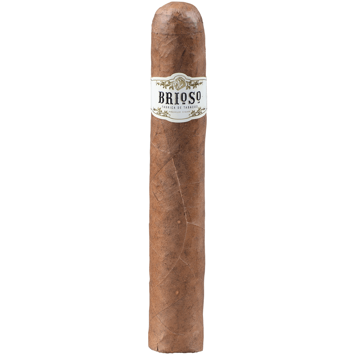 Brioso Gigante 20 Ct. Bundle 6.00X60
