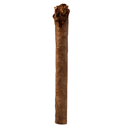 Backwoods Dark Stout 8/5 Packs 4.50X32