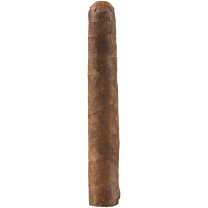 LIMITED EDITION CAO AMAZON BASIN DAGGERS DISPLAY 10/5 PACKS 4.00X38