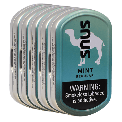 Snuff Camel Snus Mint Flavor 1/5 Sleeve