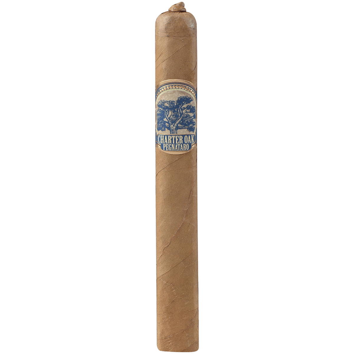 Foundation Charter Oak Especiales Pegnataro Shade 12 Ct. Box 5.50X48