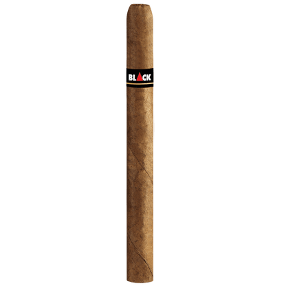 Djarum Black Classic Ivory Nl Cigars 10/6 Pack