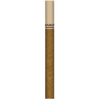 Djarum Cigars Select Filtered 10/12 Pack