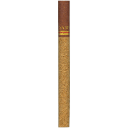Djarum Cigars Splash Filtered 10/12 Pack