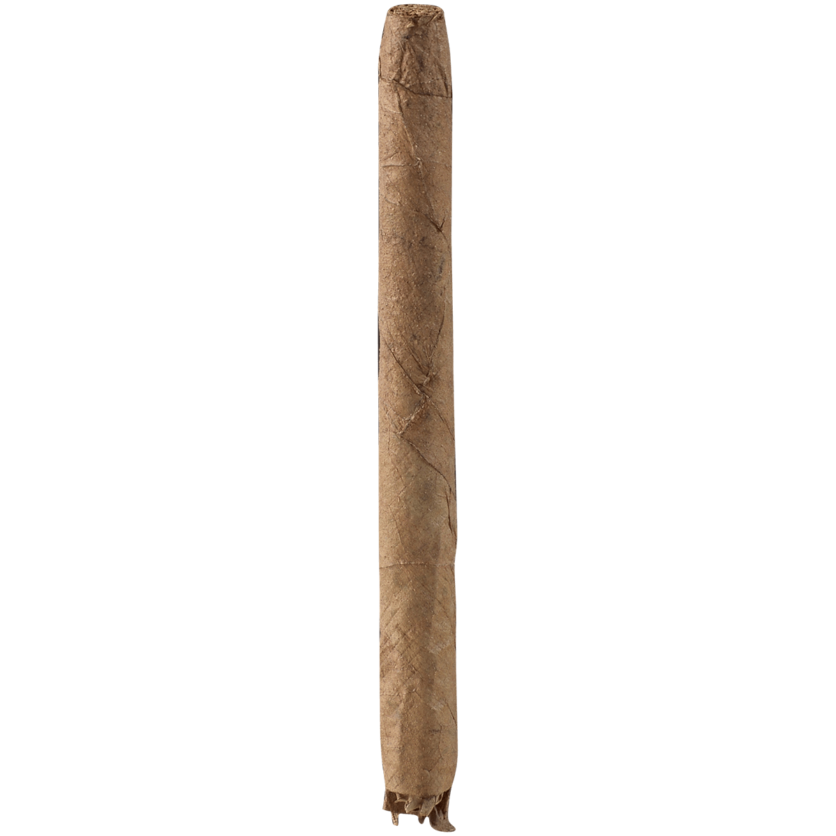 Dutch Delites Wild Cigarillos Sumatra 50 Ct. Box 4.00X22