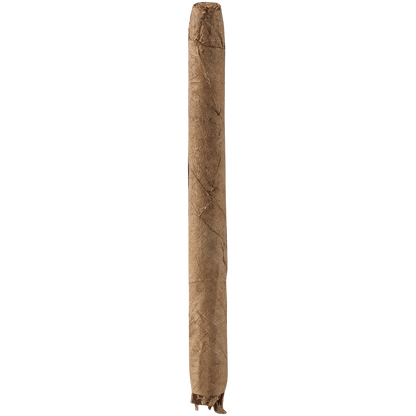 Dutch Delites Wild Cigarillos Sumatra 50 Ct. Box 4.00X22