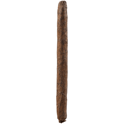 Deadwood Crazy Alice C-Notes 100Ct Box 3.75X22
