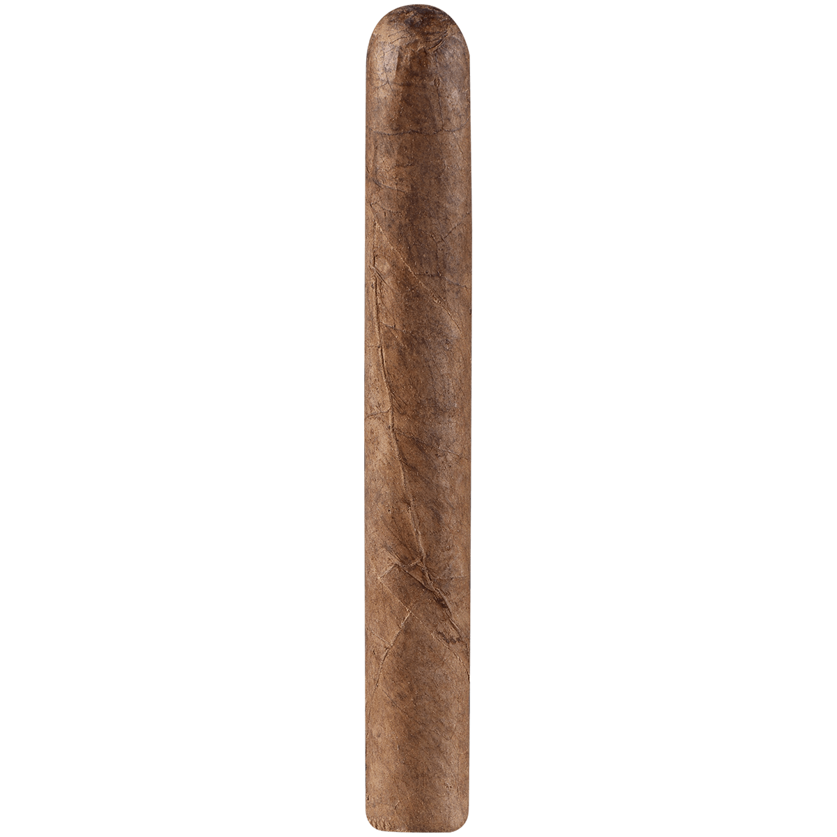 Everyday Maduro Robusto 20 Ct. Bundle 5.25X48