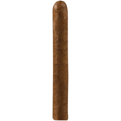 Everyday Sweet Robusto 20 Ct . Bundle 5.25X48