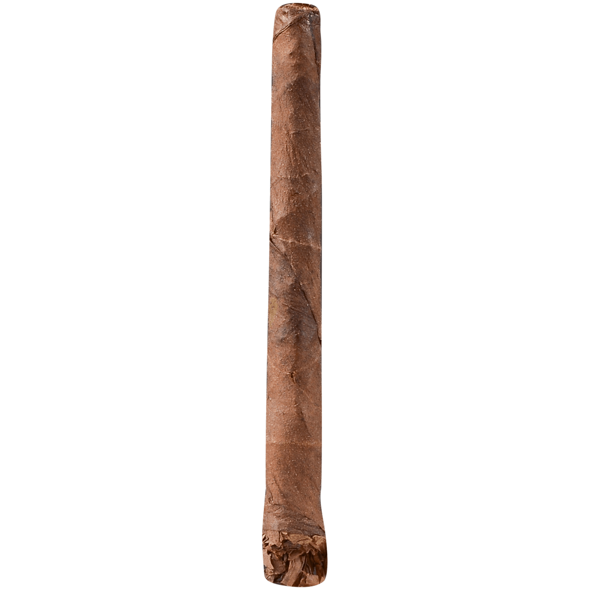 Lion Leaf Very Berry 8/5 Packs 4.38X15